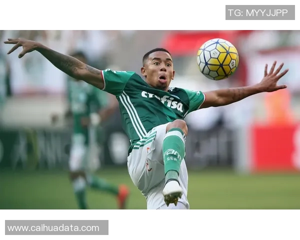 热苏斯：从新星崛起到足坛巨星的辉煌之路与未来展望