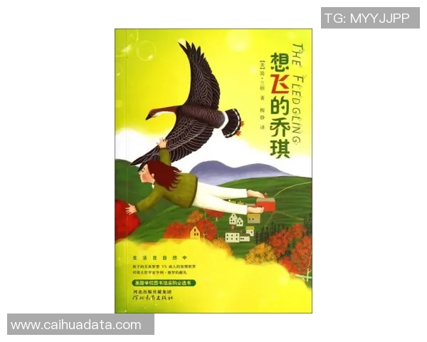 麦卡利斯特的传奇旅程：从草根到巅峰的奋斗故事与启示